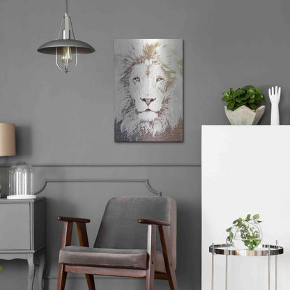 Luxe Metal Art 'Lion' by Paula Belle Flores, Metal Wall Art,16x24