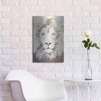 Luxe Metal Art 'Lion' by Paula Belle Flores, Metal Wall Art,16x24