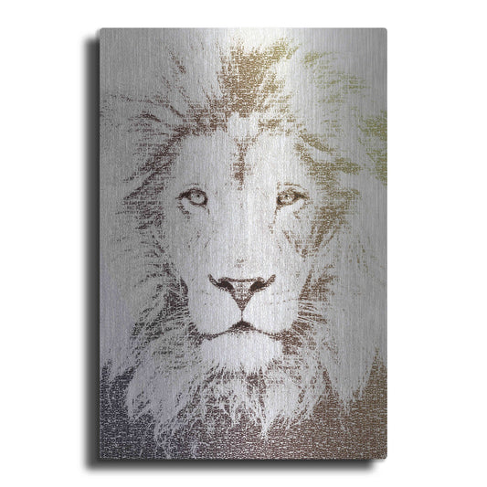 'Lion' by Paula Belle Flores, Metal Wall Art