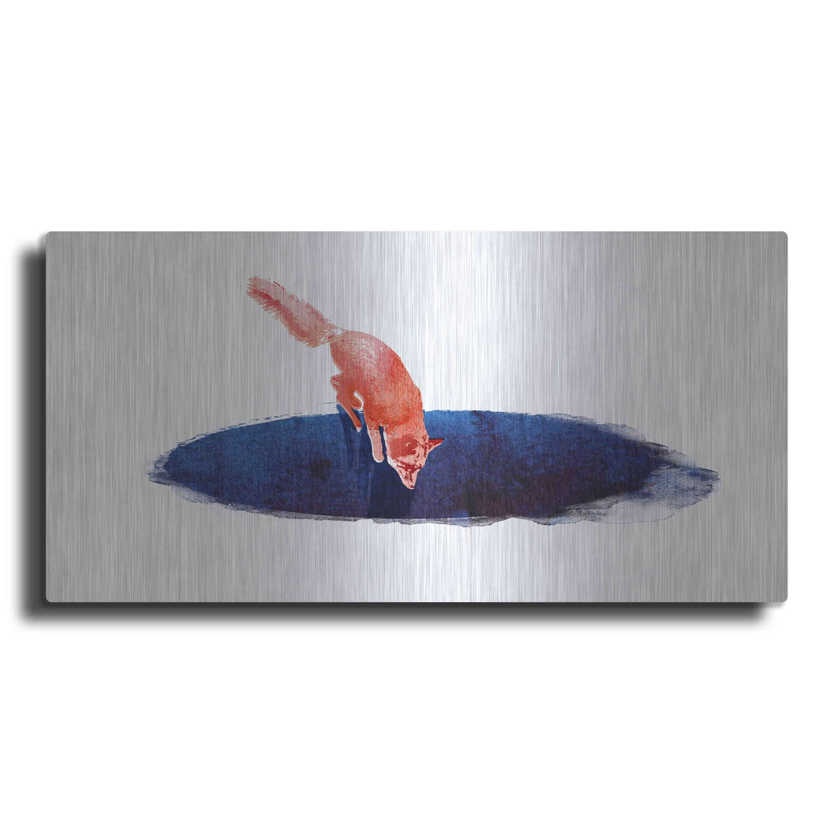 'Jump Into Nowhere' by Robert Farkas – Metal Wall Art