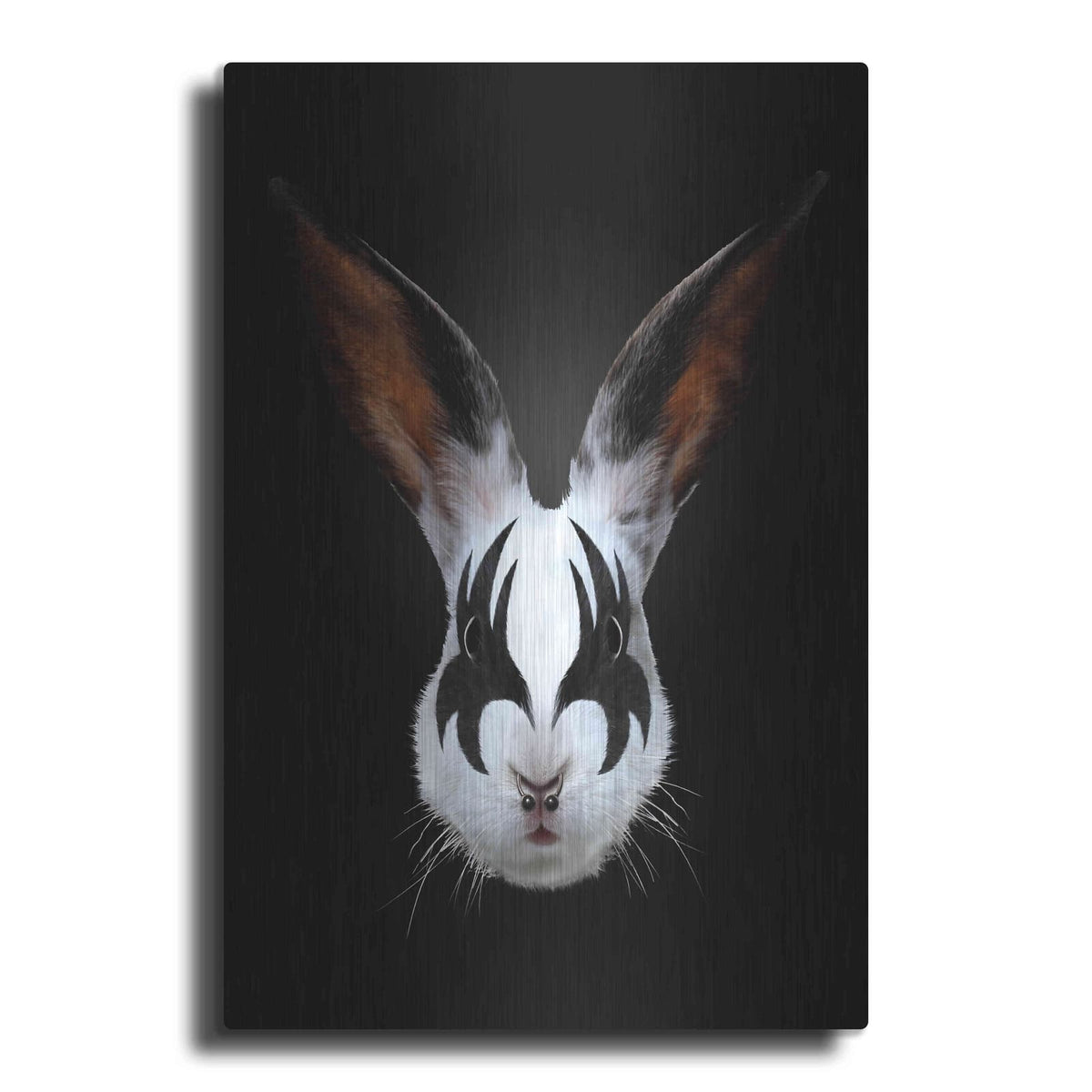'Rabbit Rocks' by Robert Farkas – Metal Wall Art