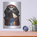 'Aviator Pug' by Thomas Fluharty – Metal Wall Art, 12x16 room view