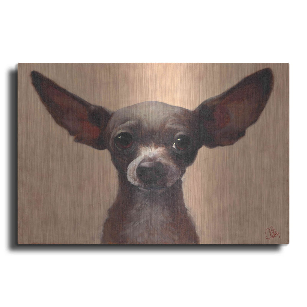 'Chihuahua' by Thomas Fluharty – Metal Wall Art