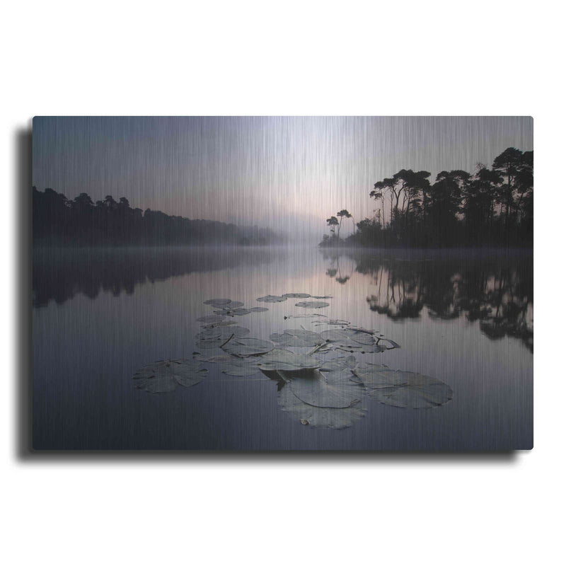 'Oisterwijkse Vennen' by Wilco Dragt – Metal Wall Art