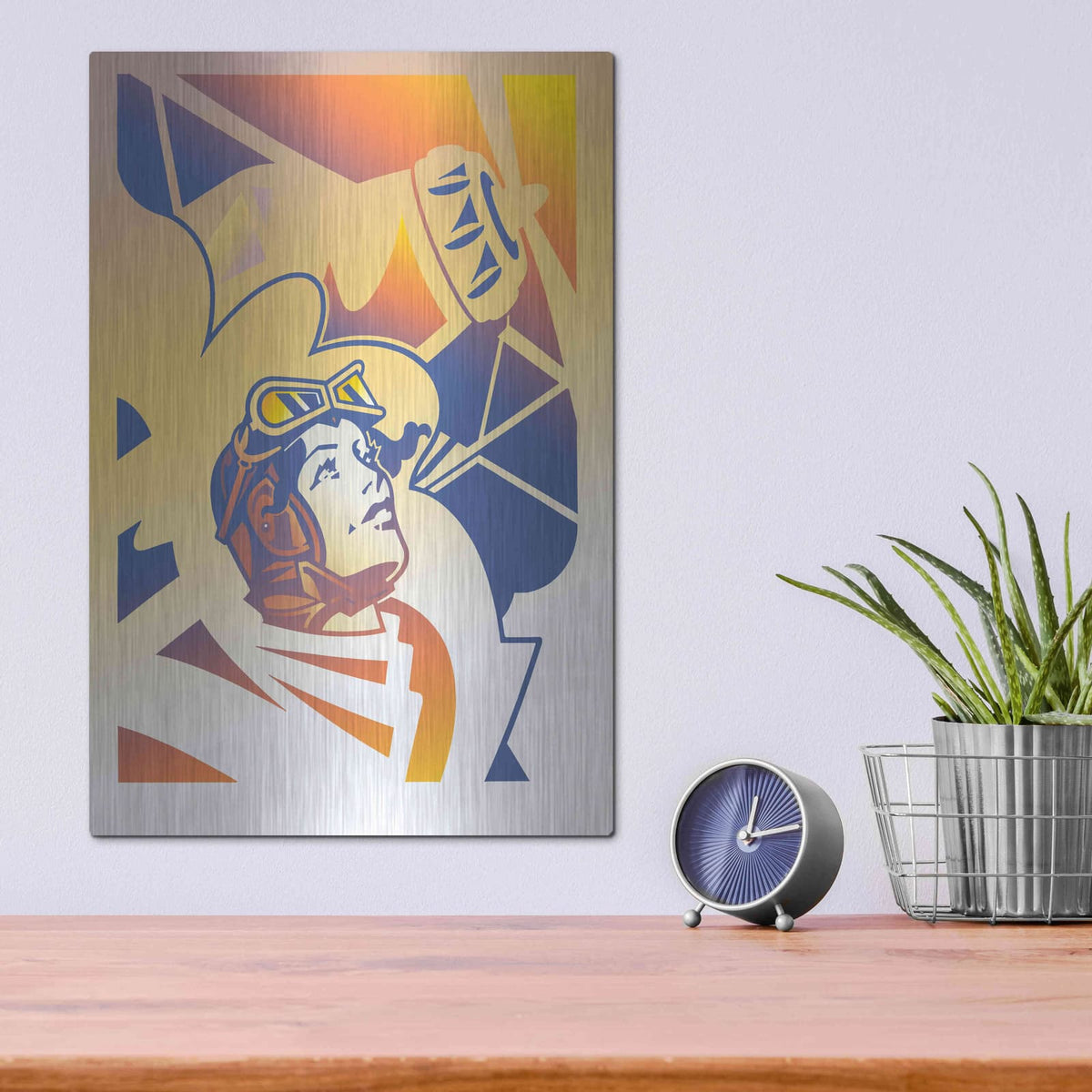 'Amelia Erhart' by David Chestnutt – Metal Wall Art, 12x16 room view