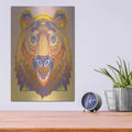 'Bear' by David Chestnutt – Metal Wall Art, 12x16 room view