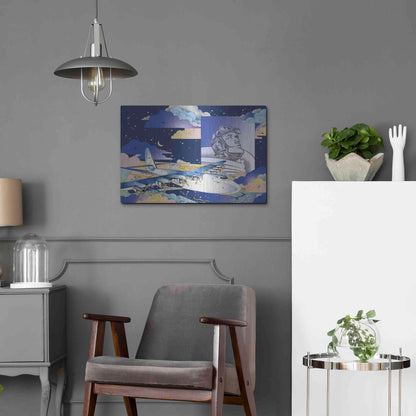 Luxe Metal Art 'Spruce Goose' by David Chestnutt, Metal Wall Art,24x16