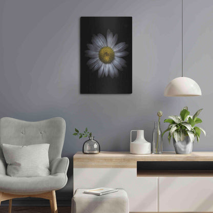 Luxe Metal Art 'Backyard Flowers 13 Color Version' by Brian Carson, Metal Wall Art,16x24