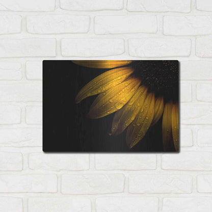 Luxe Metal Art 'Backyard Flowers 28 Sunflower' by Brian Carson, Metal Wall Art,16x12