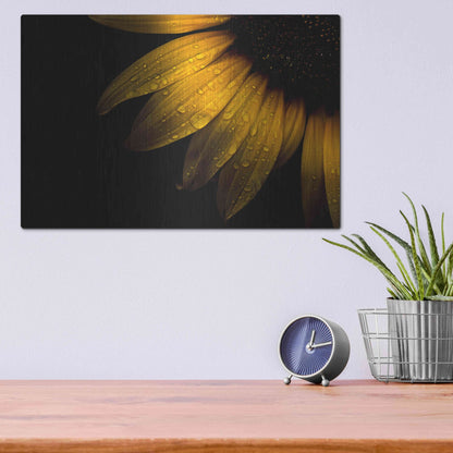 Luxe Metal Art 'Backyard Flowers 28 Sunflower' by Brian Carson, Metal Wall Art,16x12