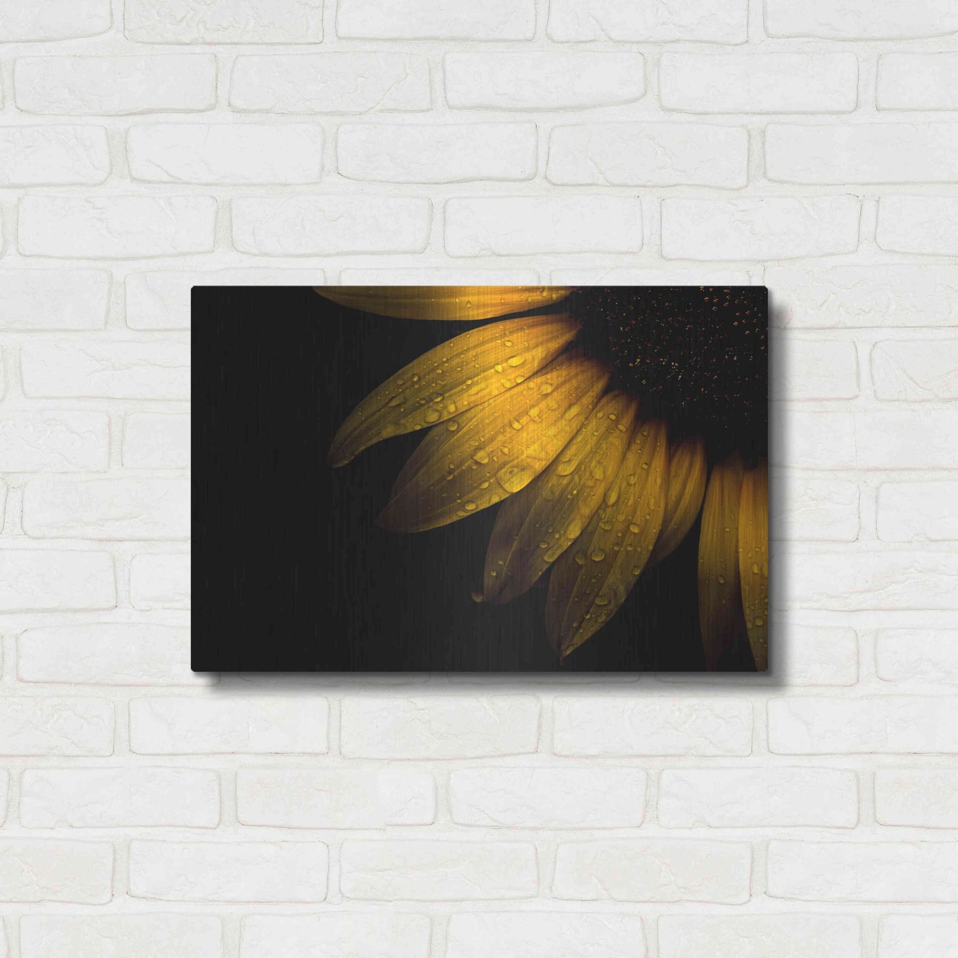 Luxe Metal Art 'Backyard Flowers 28 Sunflower' by Brian Carson, Metal Wall Art,24x16