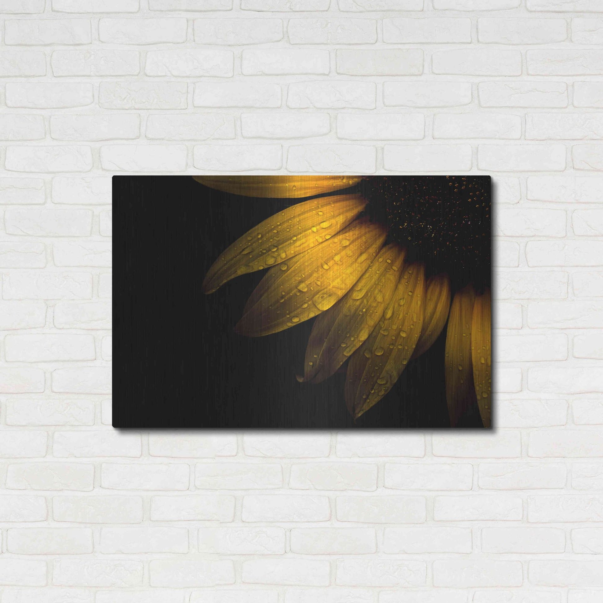 Luxe Metal Art 'Backyard Flowers 28 Sunflower' by Brian Carson, Metal Wall Art,36x24