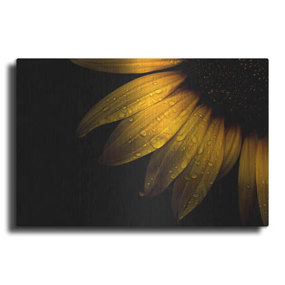 Luxe Metal Art 'Backyard Flowers 28 Sunflower' by Brian Carson, Metal Wall Art