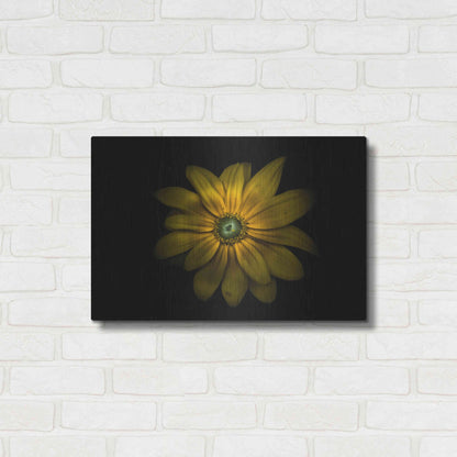 Luxe Metal Art 'Backyard Flowers 34 Color Version' by Brian Carson, Metal Wall Art,24x16