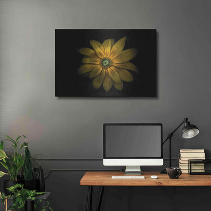 Luxe Metal Art 'Backyard Flowers 34 Color Version' by Brian Carson, Metal Wall Art,36x24