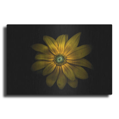 Luxe Metal Art 'Backyard Flowers 34 Color Version' by Brian Carson, Metal Wall Art