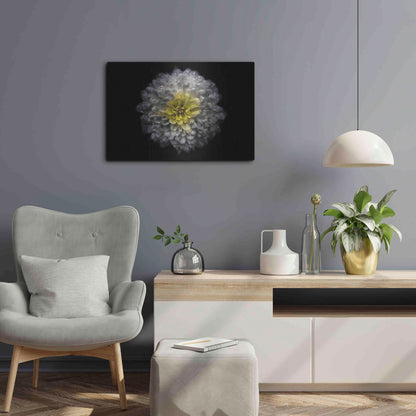 Luxe Metal Art 'Backyard Flowers 46 Color Version' by Brian Carson, Metal Wall Art,24x16