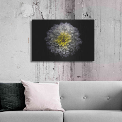 Luxe Metal Art 'Backyard Flowers 46 Color Version' by Brian Carson, Metal Wall Art,36x24