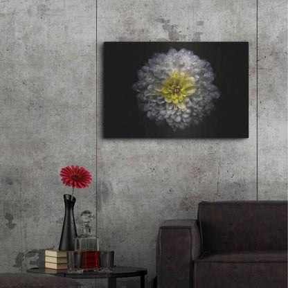 Luxe Metal Art 'Backyard Flowers 46 Color Version' by Brian Carson, Metal Wall Art,36x24