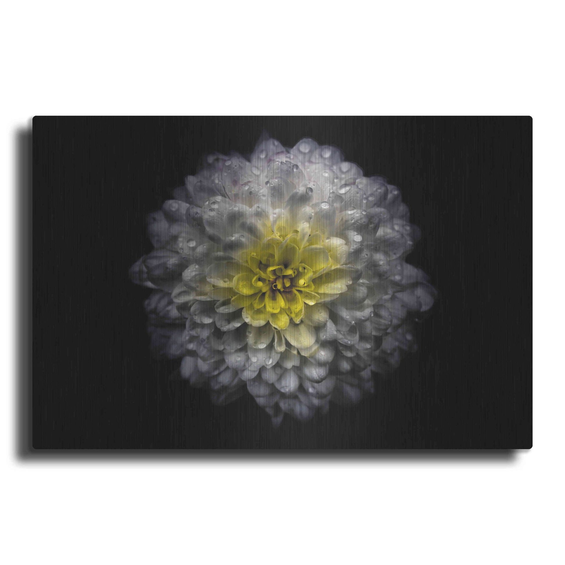 Luxe Metal Art 'Backyard Flowers 46 Color Version' by Brian Carson, Metal Wall Art