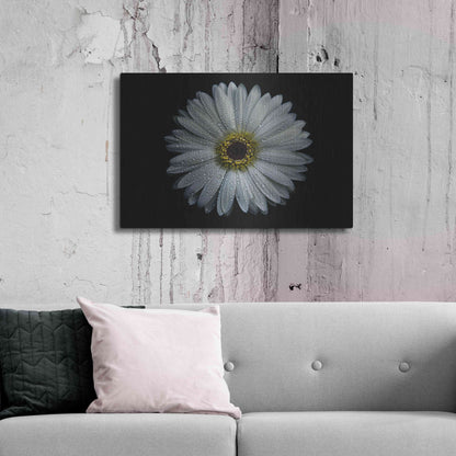 Luxe Metal Art 'Backyard Flowers 71 Color Version' by Brian Carson, Metal Wall Art,36x24