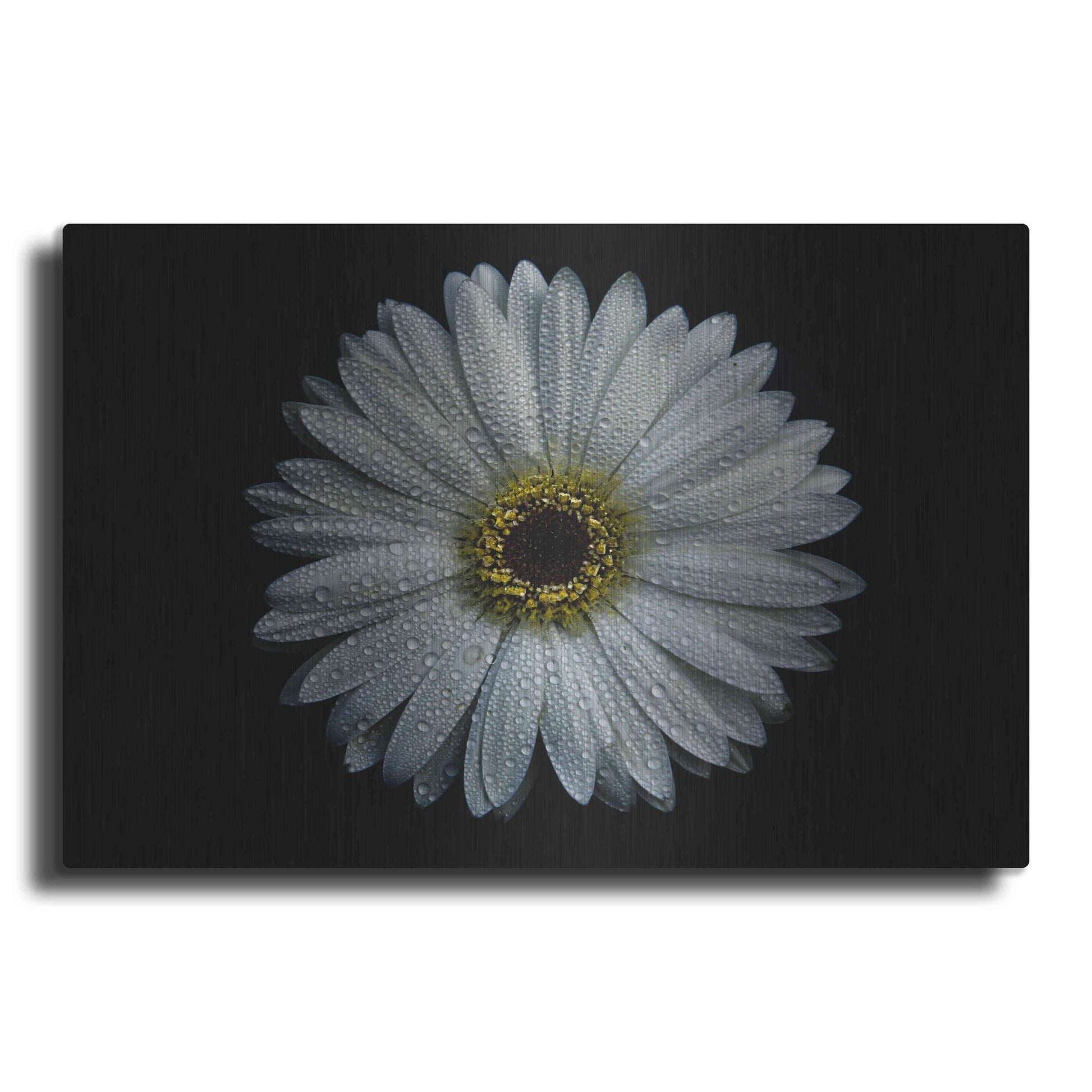 Luxe Metal Art 'Backyard Flowers 71 Color Version' by Brian Carson, Metal Wall Art