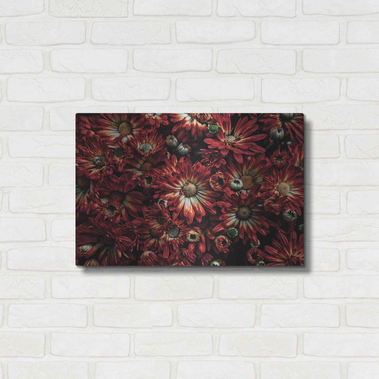 Luxe Metal Art 'Backyard Flowers 88 Color Version' by Brian Carson, Metal Wall Art,24x16