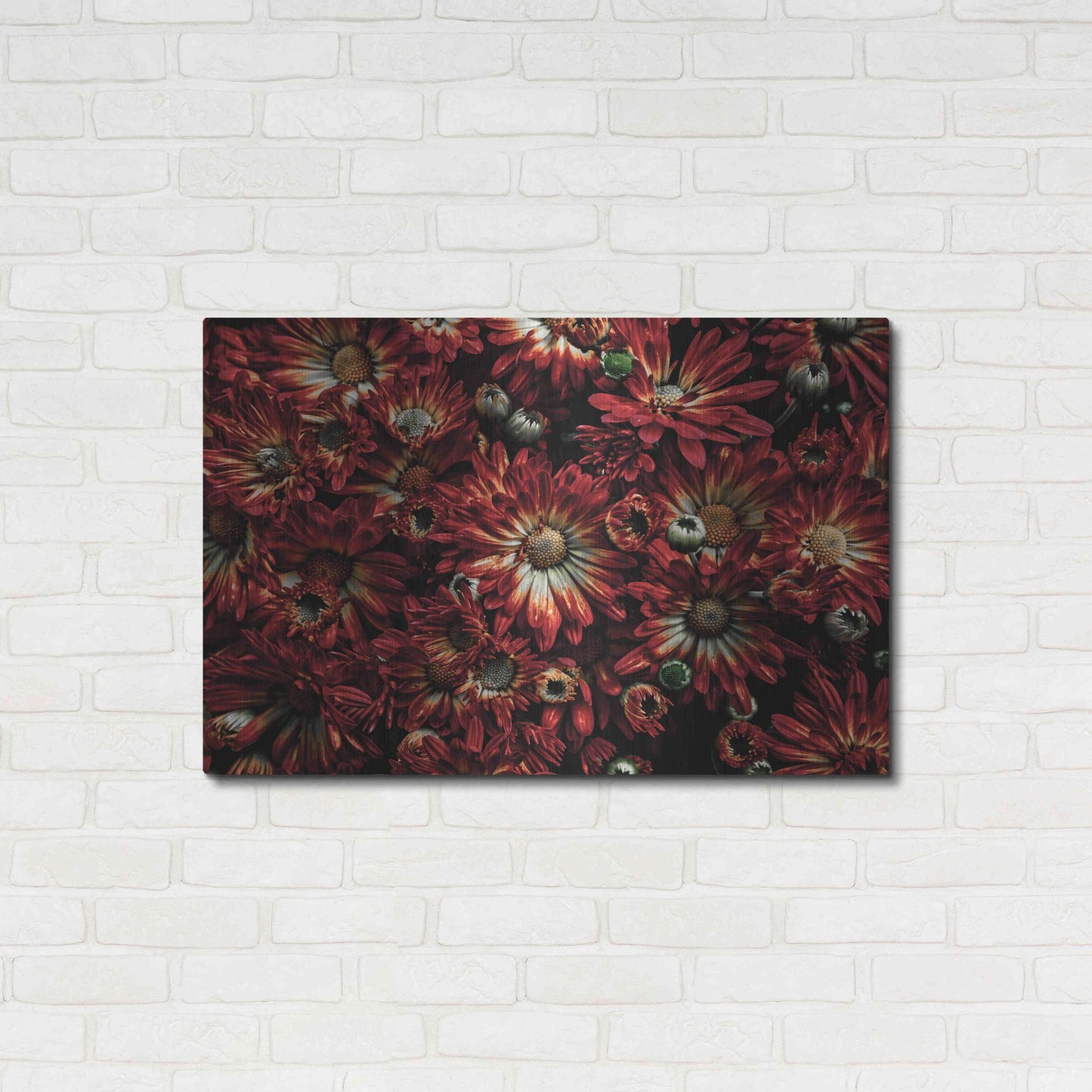 Luxe Metal Art 'Backyard Flowers 88 Color Version' by Brian Carson, Metal Wall Art,36x24