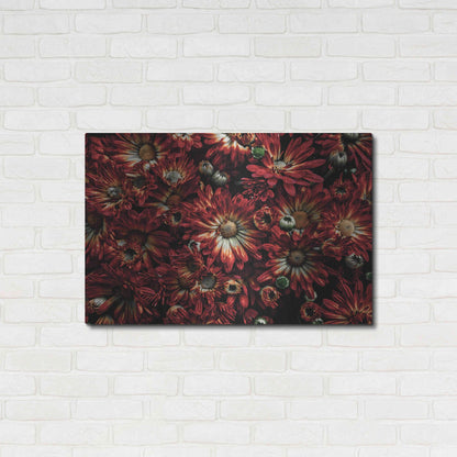 Luxe Metal Art 'Backyard Flowers 88 Color Version' by Brian Carson, Metal Wall Art,36x24