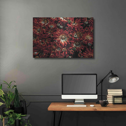 Luxe Metal Art 'Backyard Flowers 88 Color Version' by Brian Carson, Metal Wall Art,36x24