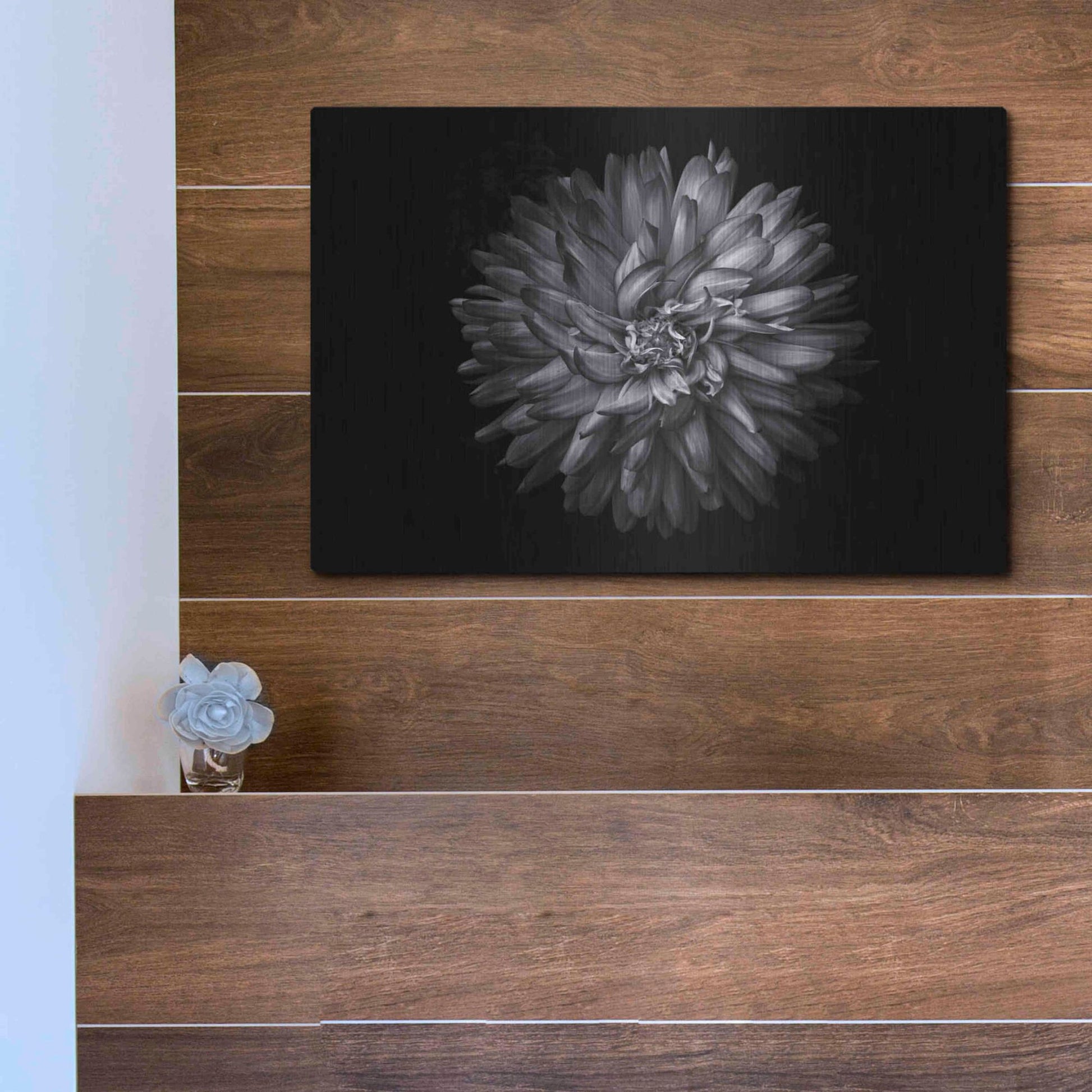 Luxe Metal Art 'Backyard Flowers In Black And White 20' by Brian Carson, Metal Wall Art,16x12