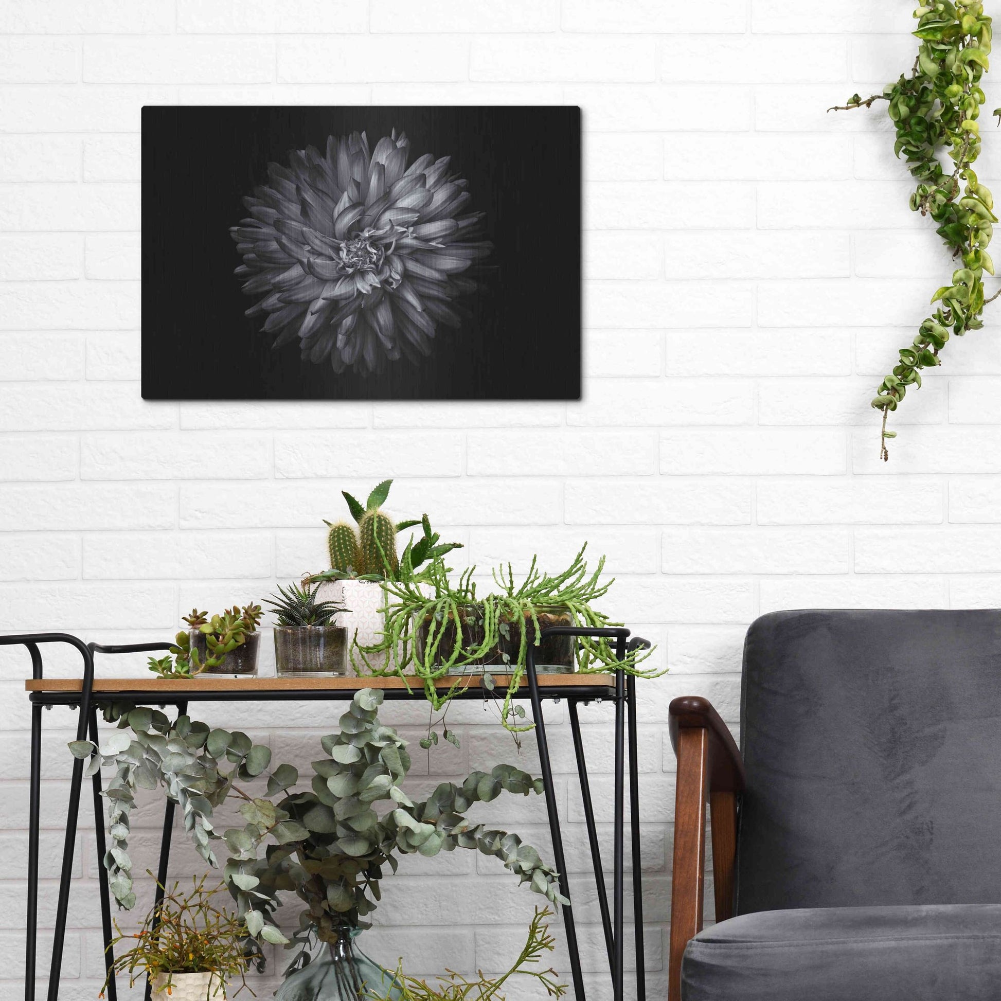 Luxe Metal Art 'Backyard Flowers In Black And White 20' by Brian Carson, Metal Wall Art,16x12