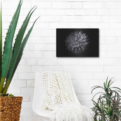 Luxe Metal Art 'Backyard Flowers In Black And White 20' by Brian Carson, Metal Wall Art,16x12