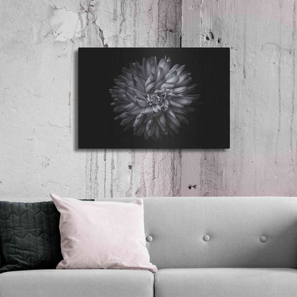 Luxe Metal Art 'Backyard Flowers In Black And White 20' by Brian Carson, Metal Wall Art,36x24