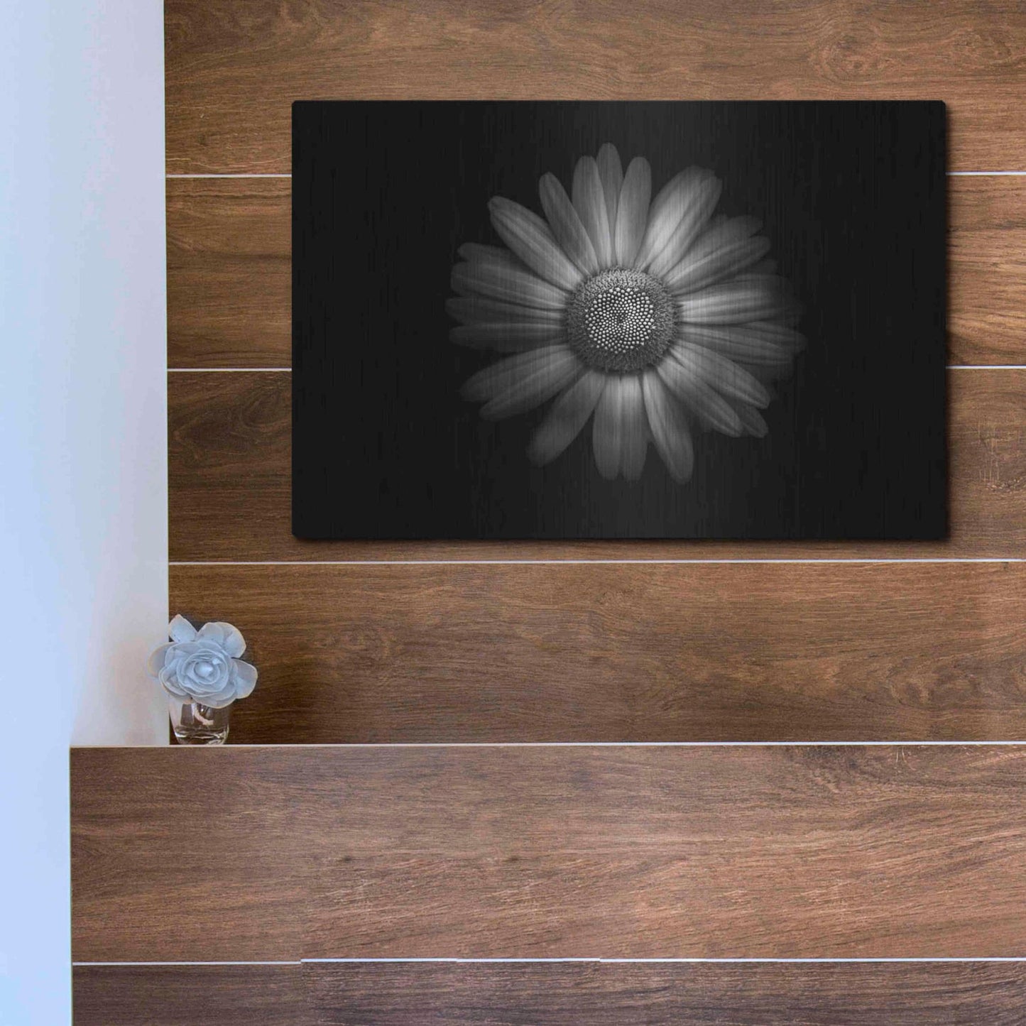 Luxe Metal Art 'Backyard Flowers In Black And White 31' by Brian Carson, Metal Wall Art,16x12