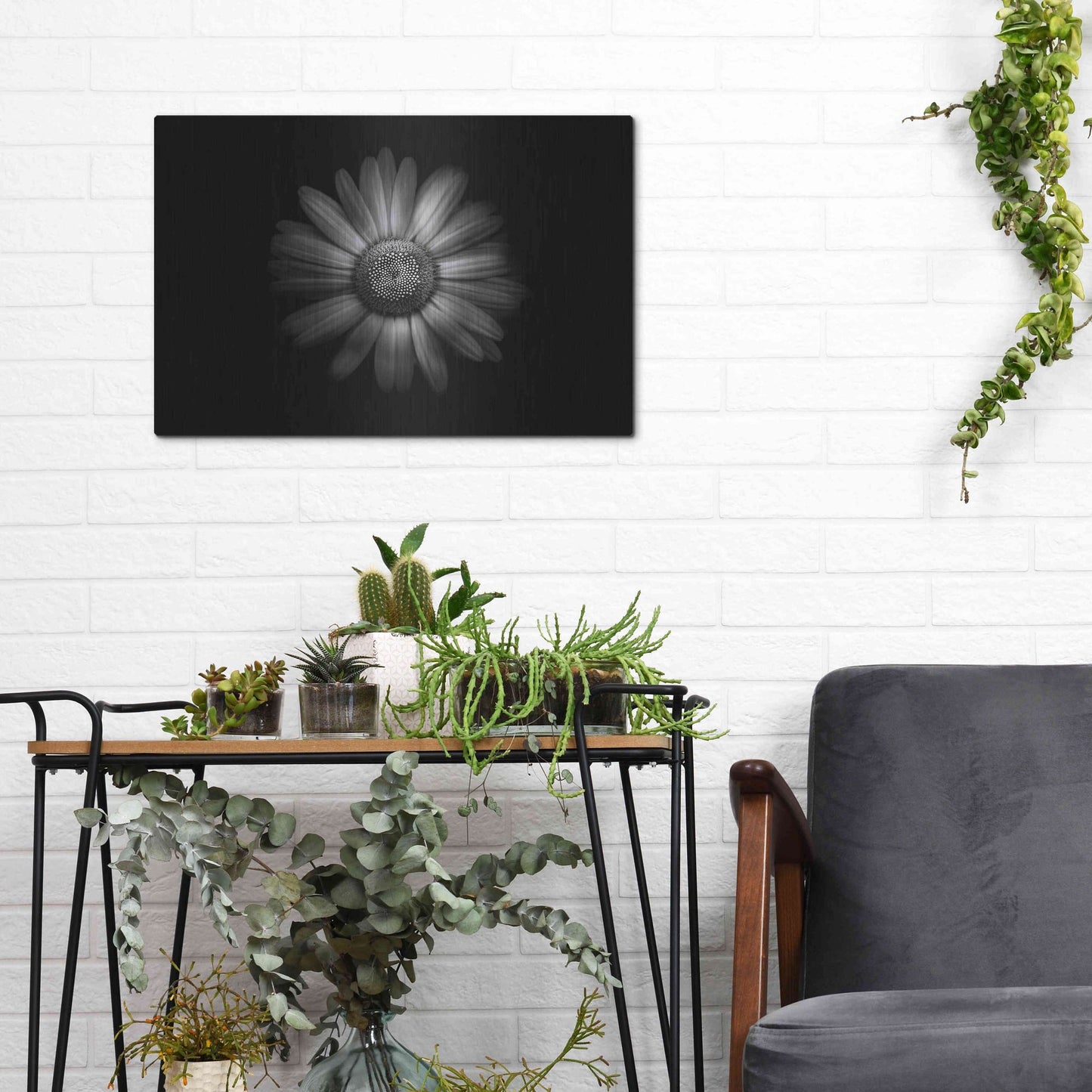 Luxe Metal Art 'Backyard Flowers In Black And White 31' by Brian Carson, Metal Wall Art,16x12