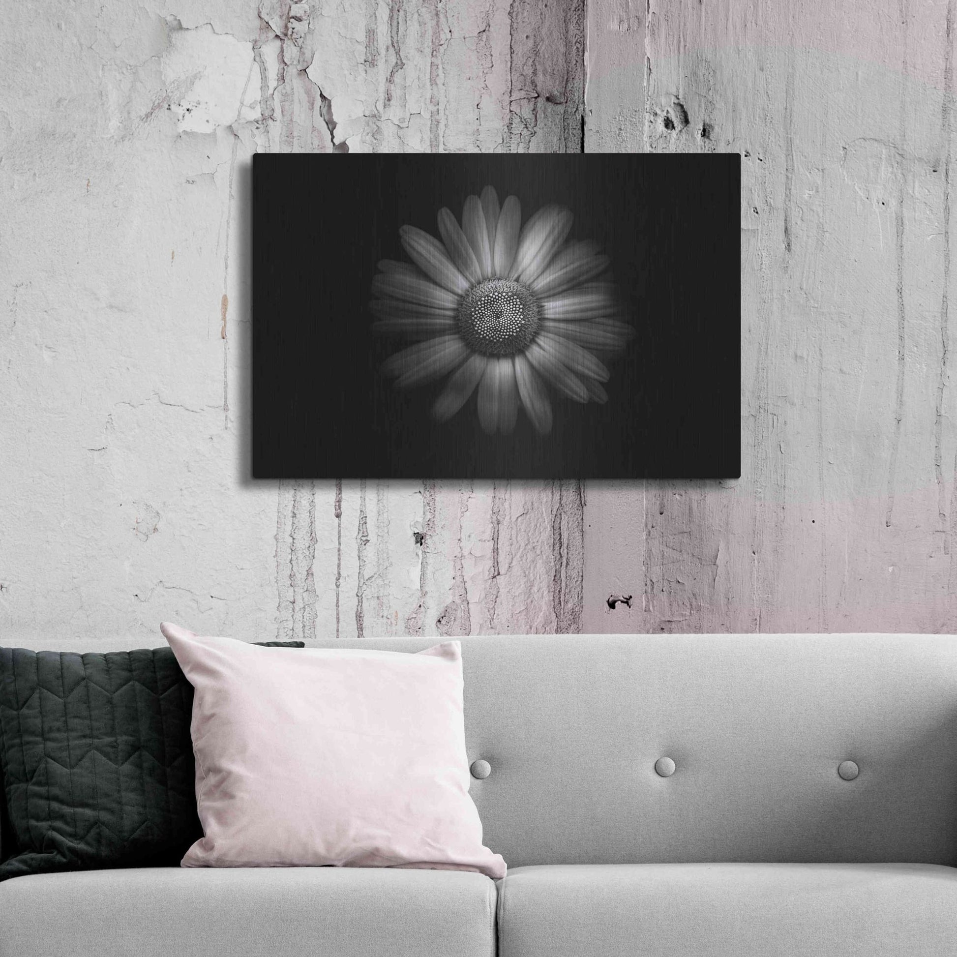 Luxe Metal Art 'Backyard Flowers In Black And White 31' by Brian Carson, Metal Wall Art,36x24