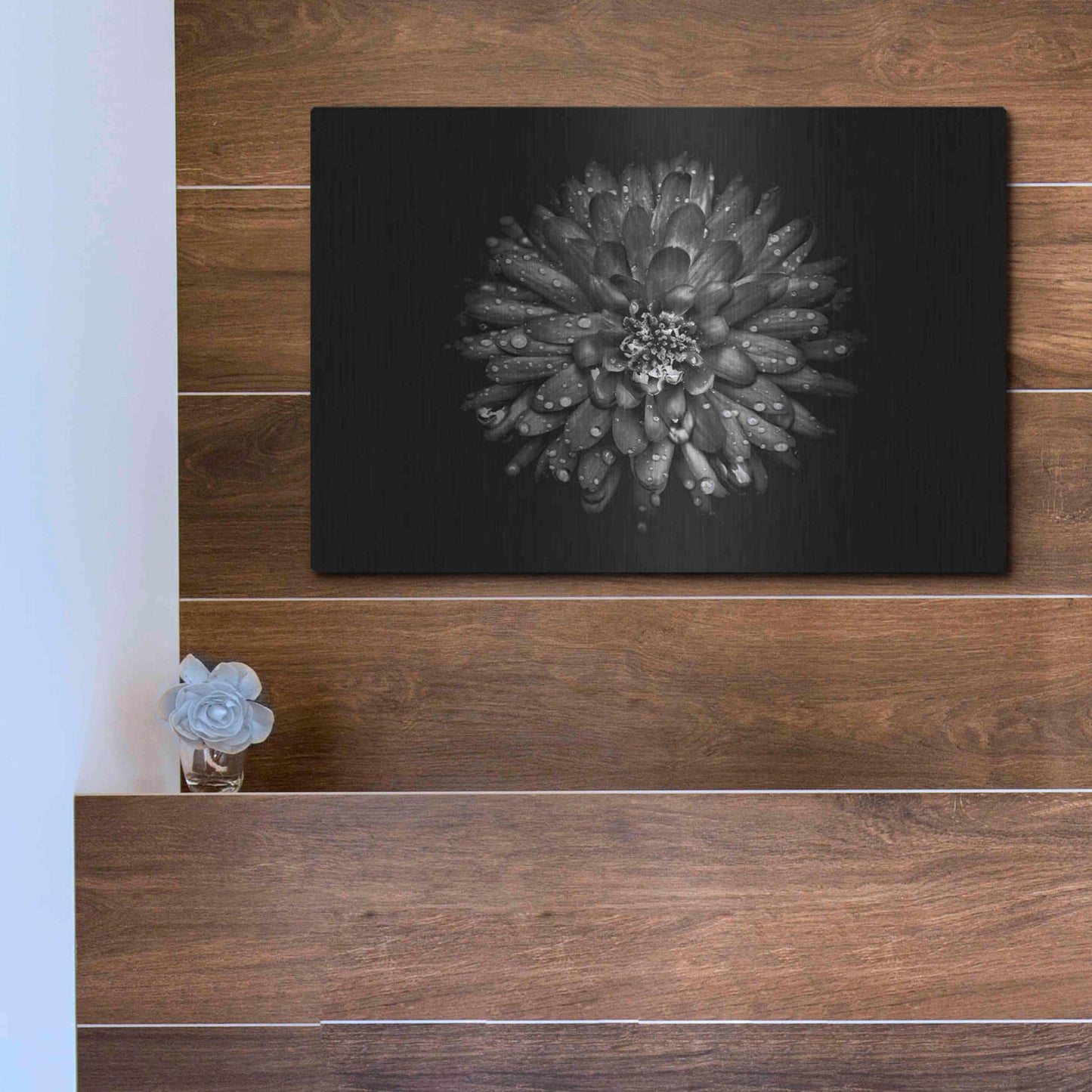 Luxe Metal Art 'Backyard Flowers In Black And White 45' by Brian Carson, Metal Wall Art,16x12