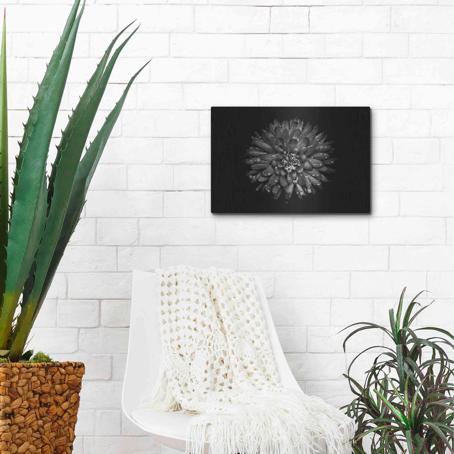 Luxe Metal Art 'Backyard Flowers In Black And White 45' by Brian Carson, Metal Wall Art,16x12