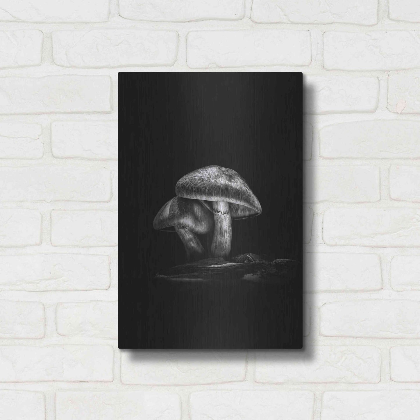 Luxe Metal Art 'Toadstools On A Trail No 2' by Brian Carson, Metal Wall Art,12x16