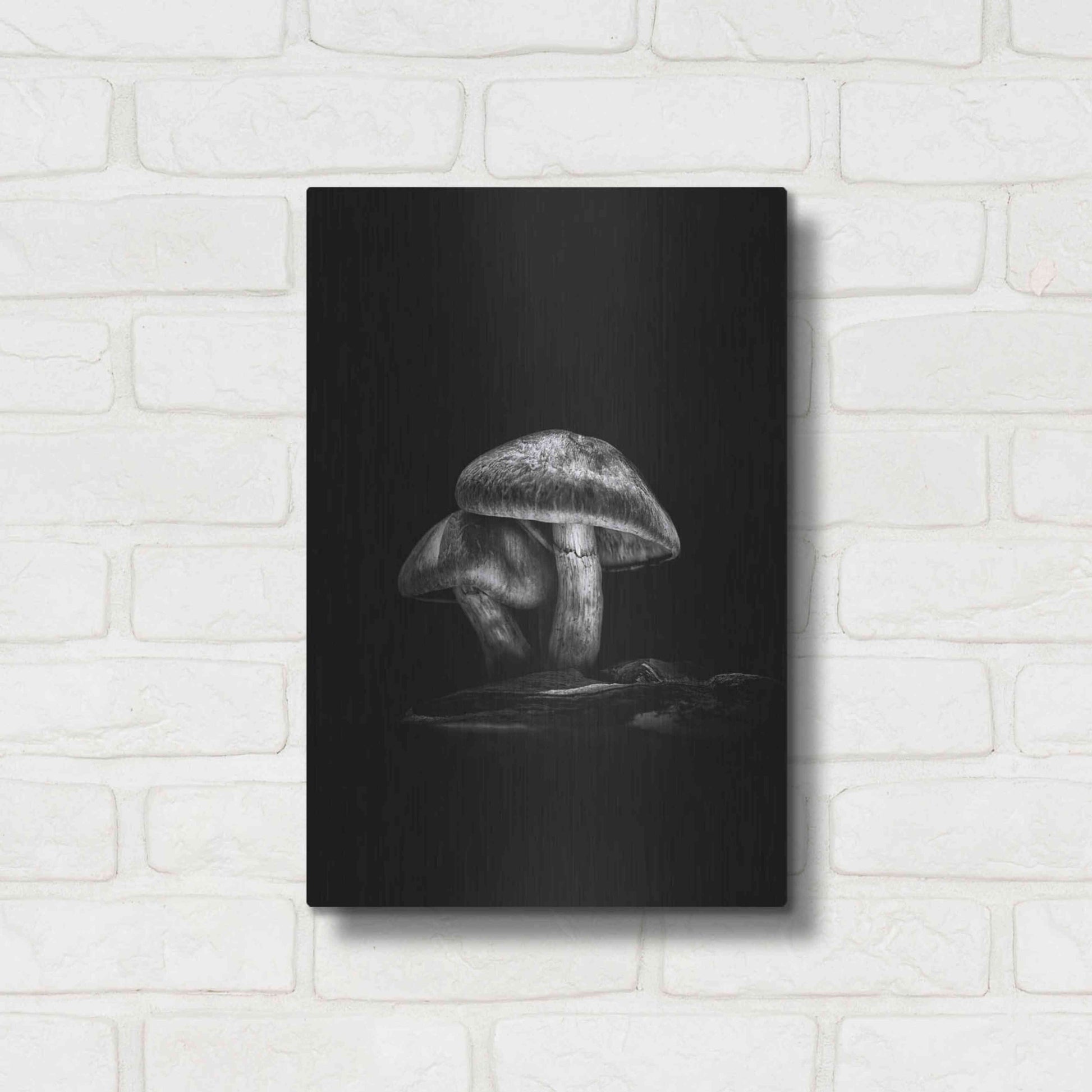 Luxe Metal Art 'Toadstools On A Trail No 2' by Brian Carson, Metal Wall Art,12x16