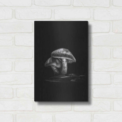 Luxe Metal Art 'Toadstools On A Trail No 2' by Brian Carson, Metal Wall Art,12x16