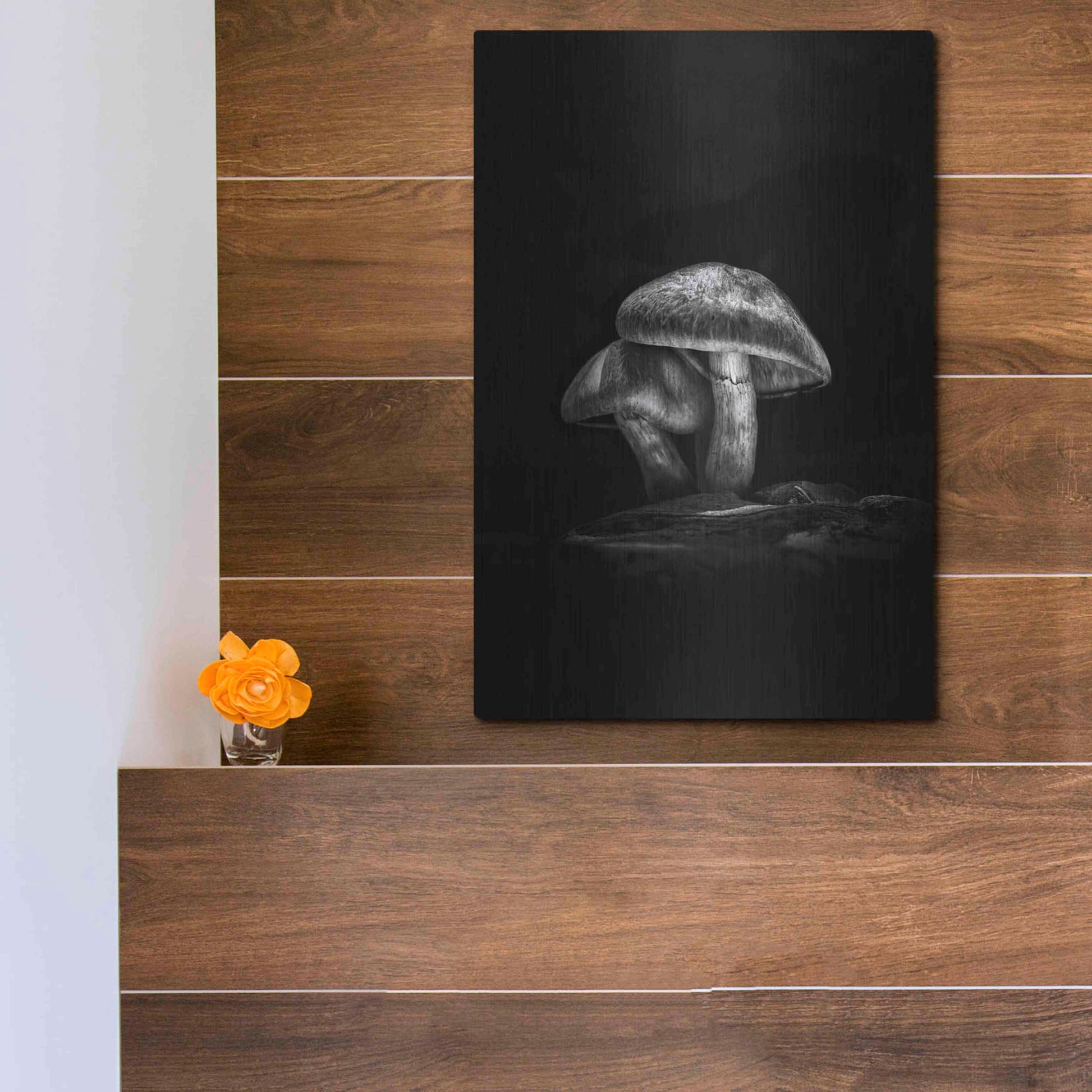 Luxe Metal Art 'Toadstools On A Trail No 2' by Brian Carson, Metal Wall Art,12x16