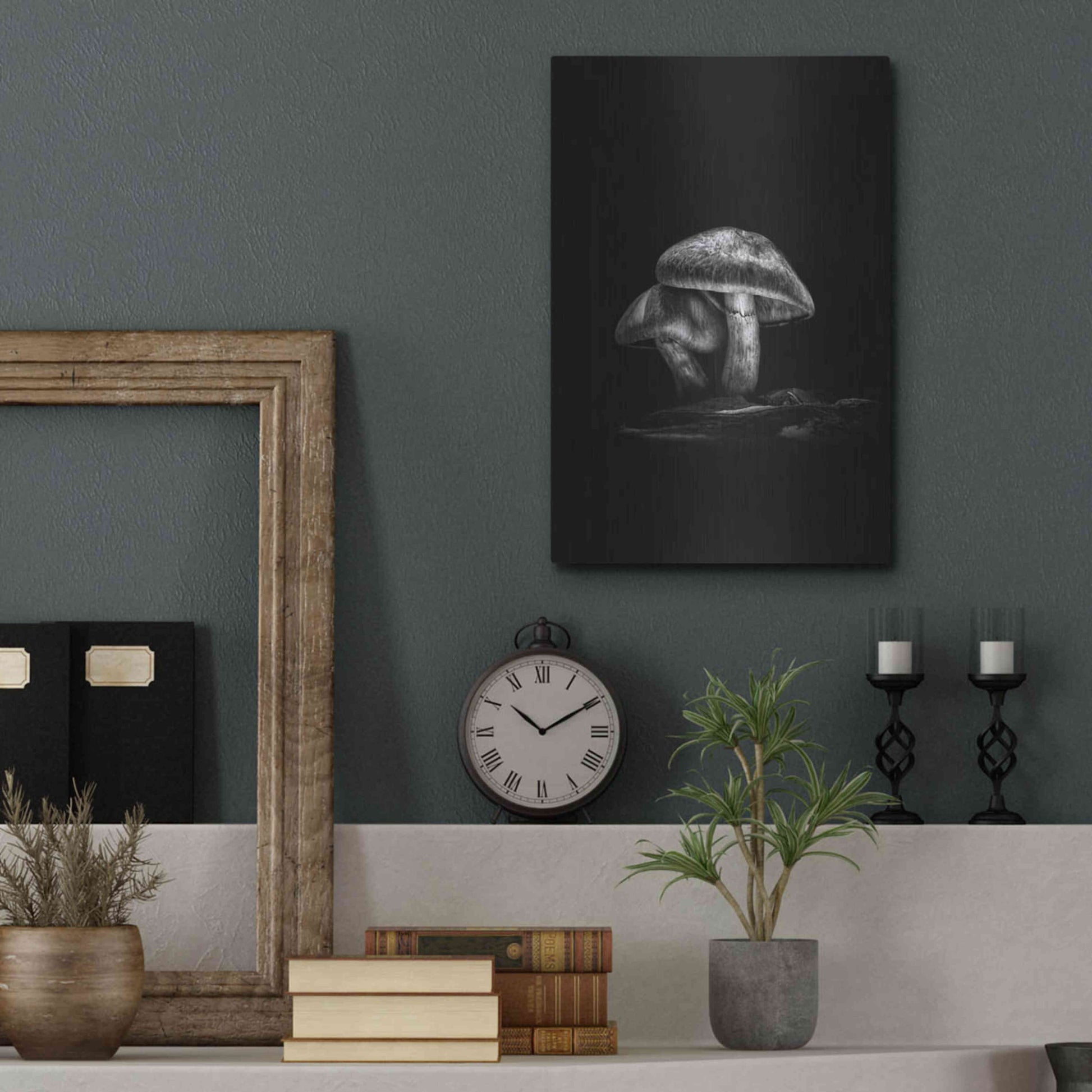 Luxe Metal Art 'Toadstools On A Trail No 2' by Brian Carson, Metal Wall Art,12x16