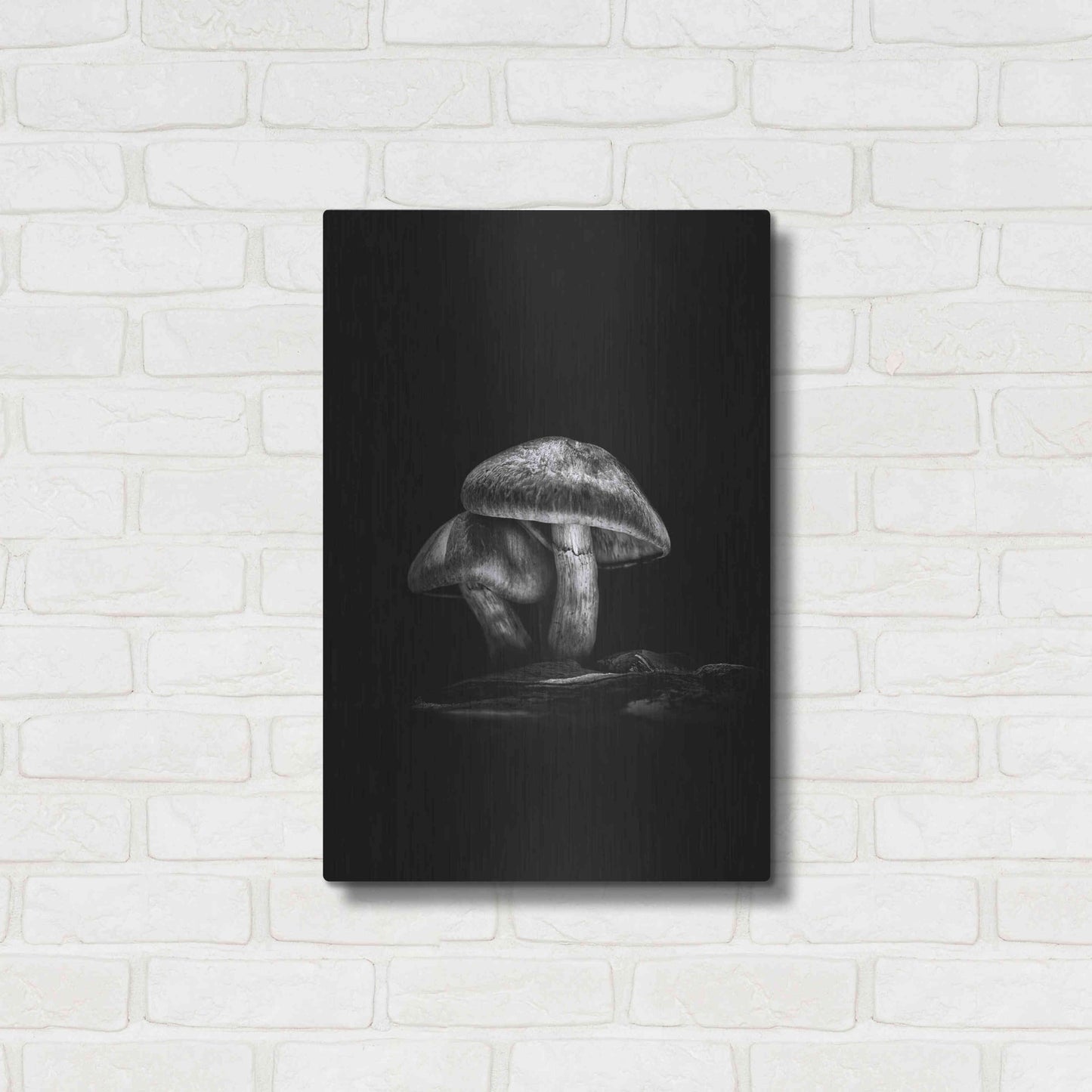 Luxe Metal Art 'Toadstools On A Trail No 2' by Brian Carson, Metal Wall Art,16x24