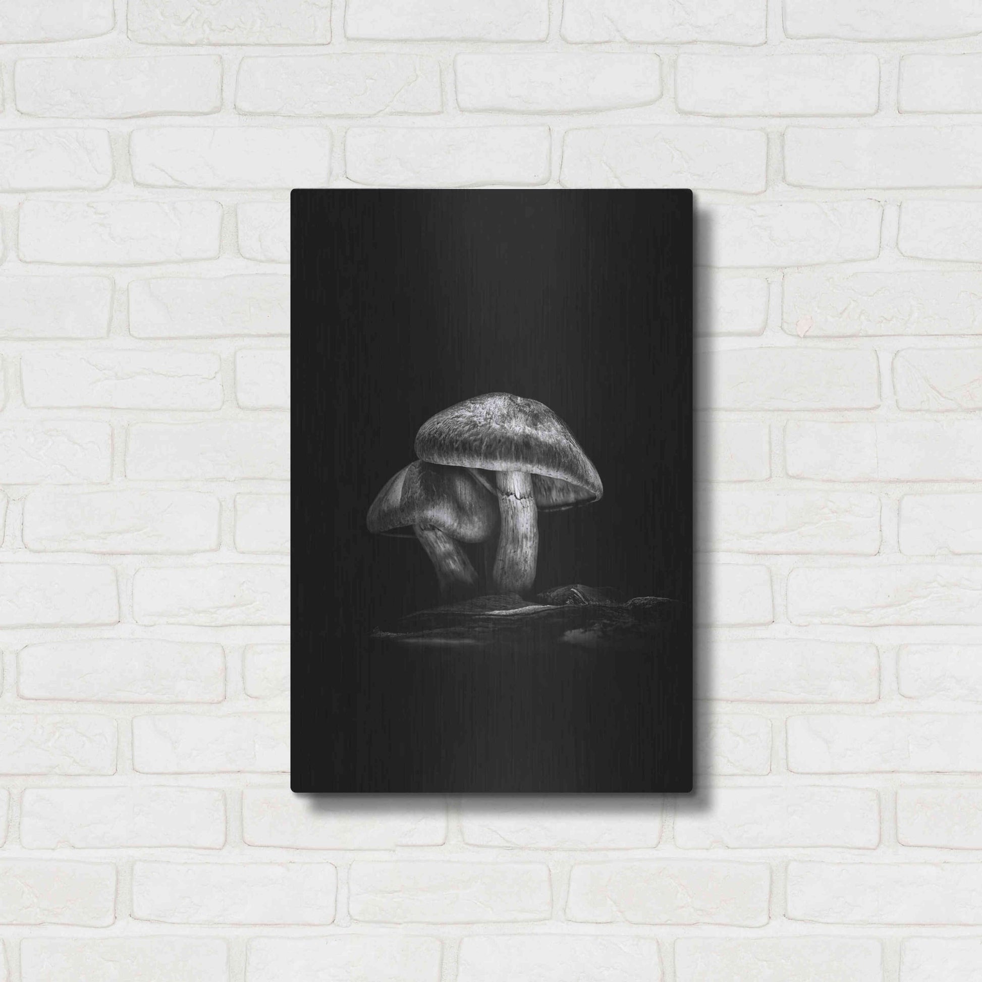 Luxe Metal Art 'Toadstools On A Trail No 2' by Brian Carson, Metal Wall Art,16x24