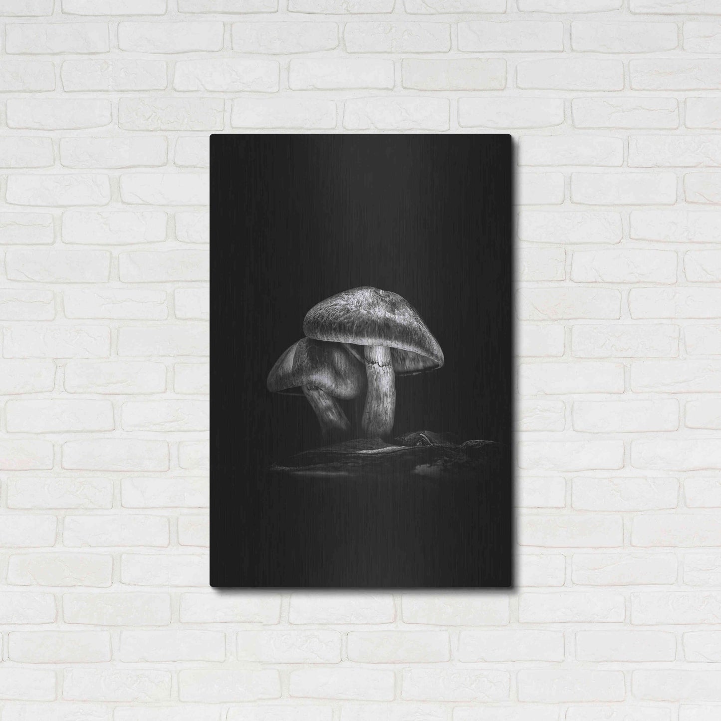 Luxe Metal Art 'Toadstools On A Trail No 2' by Brian Carson, Metal Wall Art,24x36