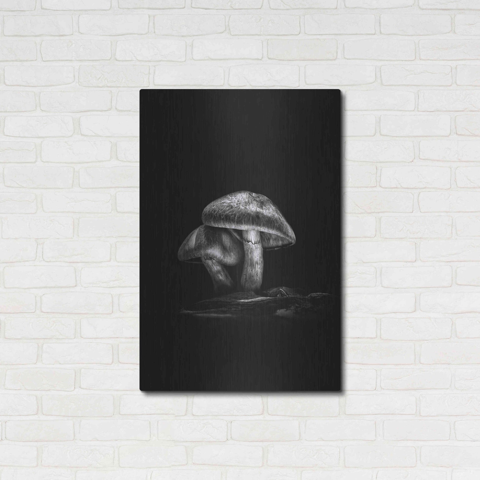 Luxe Metal Art 'Toadstools On A Trail No 2' by Brian Carson, Metal Wall Art,24x36