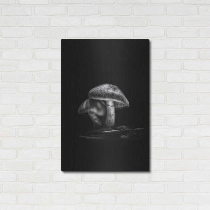 Luxe Metal Art 'Toadstools On A Trail No 2' by Brian Carson, Metal Wall Art,24x36