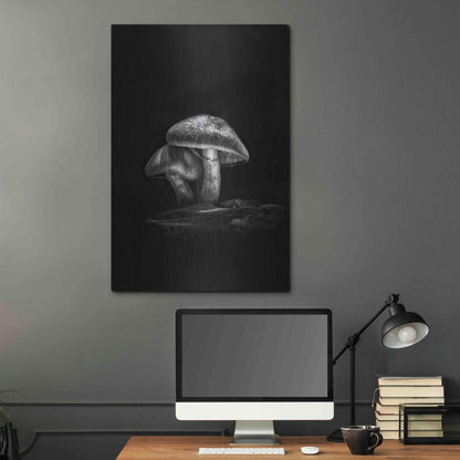 Luxe Metal Art 'Toadstools On A Trail No 2' by Brian Carson, Metal Wall Art,24x36